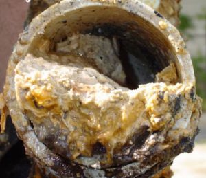 Снимка на запушени канализационни тръби поради мазнини запушване на канализационни тръби поради отлагания на мазнини