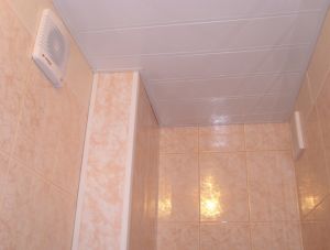 пластмасови панели Снимка: пластмасови панели