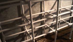 Рафтове в стаята Снимка: Направи си сам рафтове за стаята