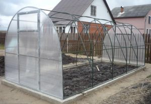 сводеста оранжерия Снимка: Аркова метална оранжерия