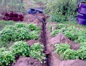 Селска водоснабдителна система от пластмасови тръби Снимка: Селска водоснабдителна система, изработена от пластмасови тръби