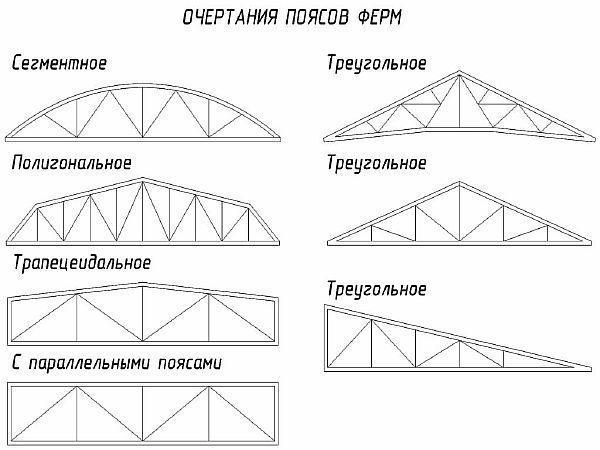 видове ферми снимка - видове ферми