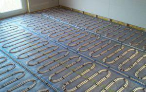 змия снимка на прическа, подобна на змия