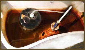 поплавок в баке за унитаза Снимка - Поплавък на казанчето на тоалетната чиния