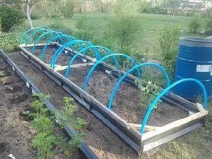 Снимка - Арочен модел на оранжерия, изработена от PVC тръби