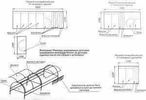 Снимка – Чертеж на оранжерия „Пеперуда“