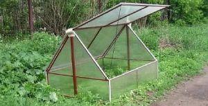 Снимка - Оранжерия с фронтон