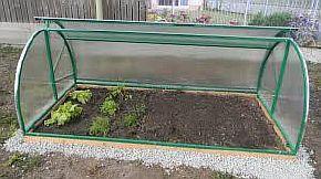 Снимка — Оранжерията на Федоров