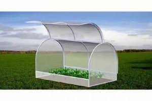 Снимка — Оранжерия „Хлебна кутия“