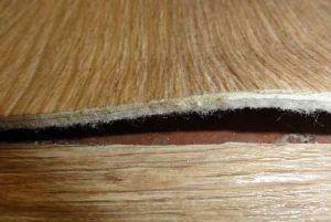 Снимка - изолиран линолеум