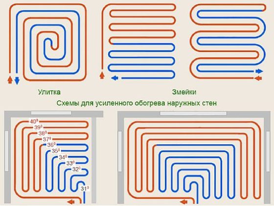 Снимка – ъглова змия