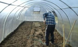 Снимка - Премахва се слой почва