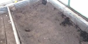 Снимка - Отстранява се горният слой почва