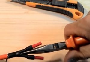 Снимка - Разпространение на вените