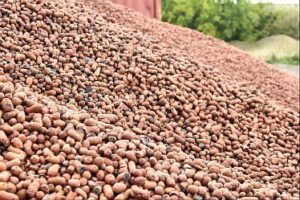 Снимка — Експандирана глина