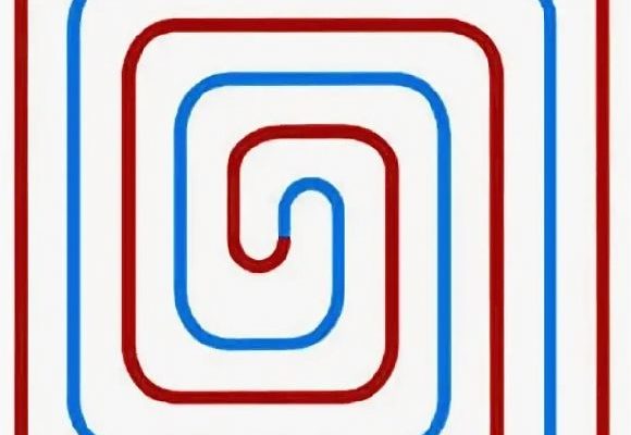 Снимка - Един обикновен охлюв