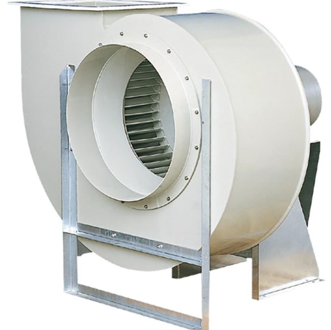 снимка - Качулка на охлюв