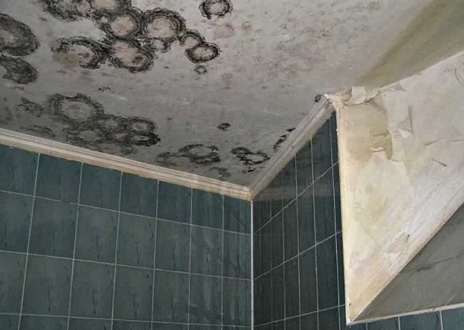 Снимка на черна плесен на тавана на банята