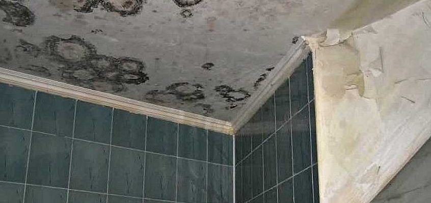 Снимка на черна плесен на тавана на банята