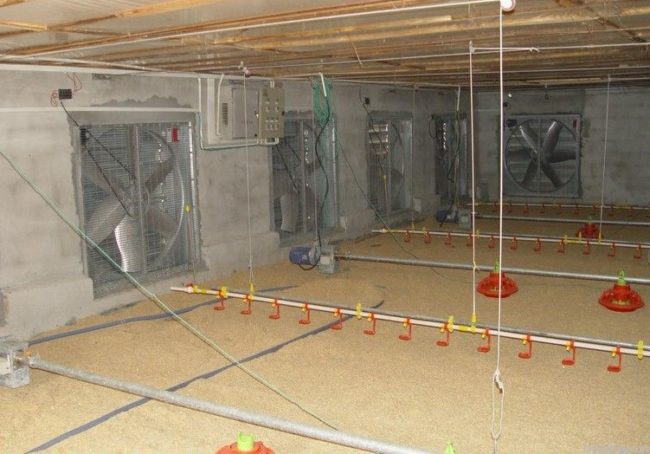 Снимка: Принудителна вентилация в птицеферма