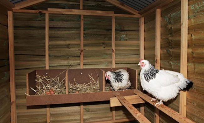 Снимка: Вентилация в кокошарник