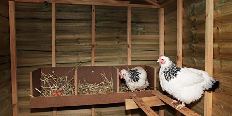 Снимка: Вентилация в кокошарник