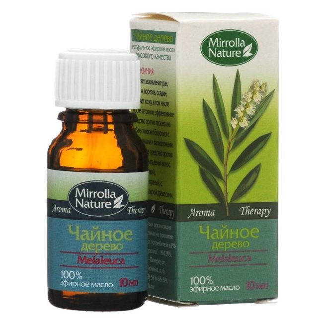 Снимка на чаено дърво