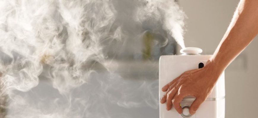 Снимка на парен овлажнител