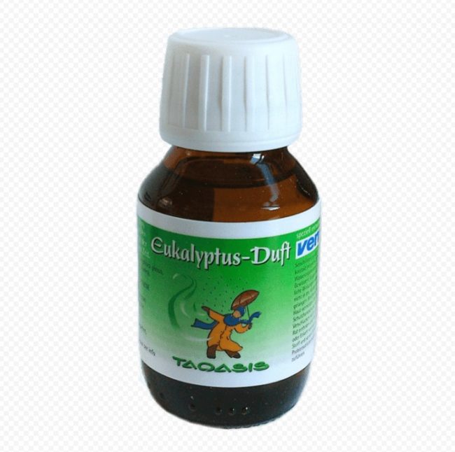 Снимка на евкалипт Venta