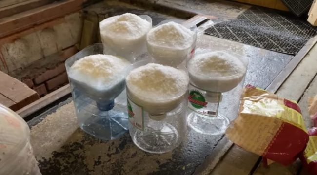 Снимка: Сол, изсипана в бутилки, за да привлече влага