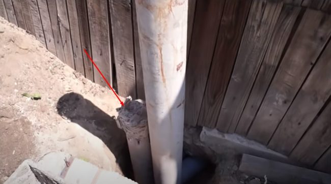 Снимка на щранга, излизащ от земята