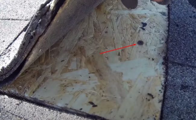 Снимка: Парче плътна OSB обшивка, закрепено с винт